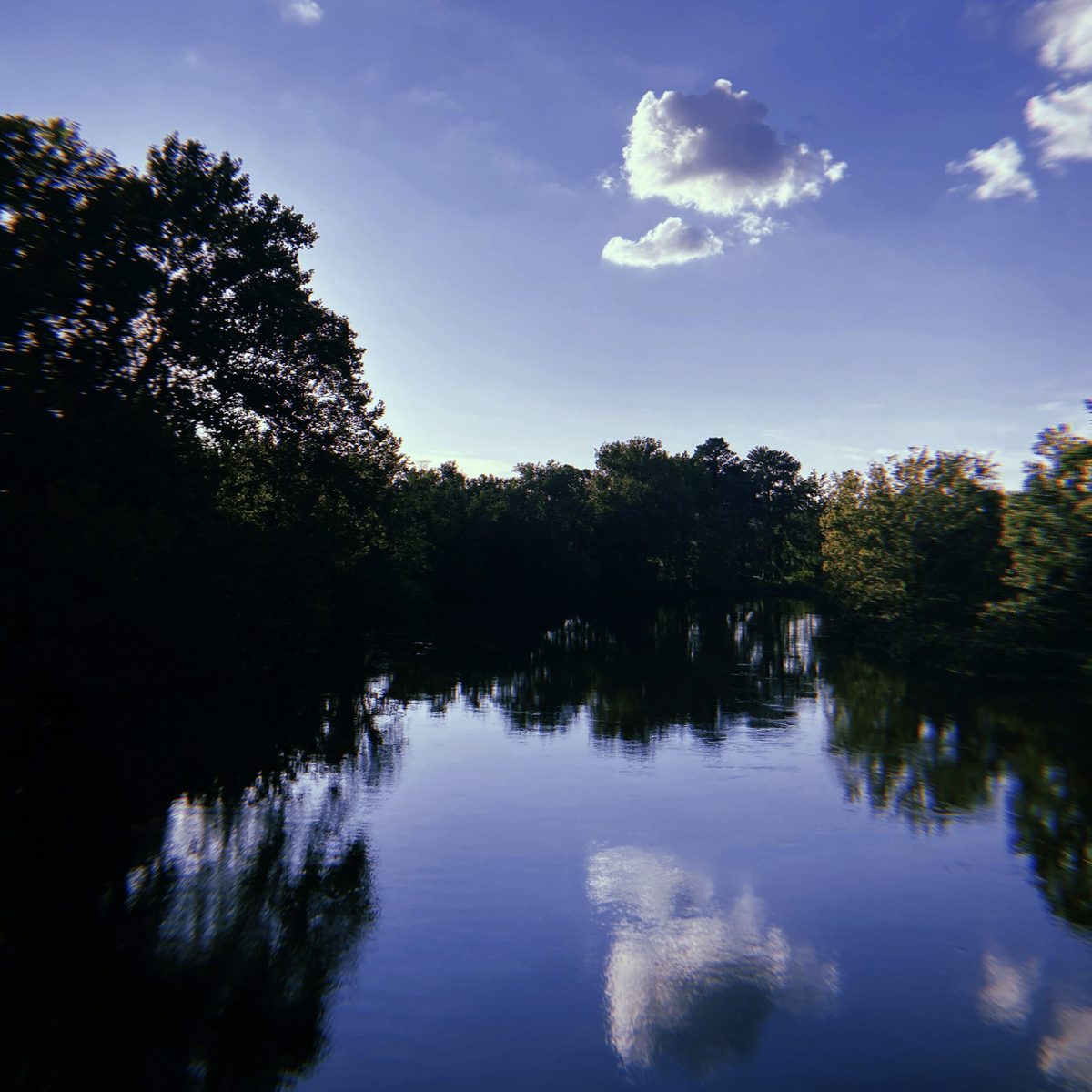 Flusslandschaft mit Bäumen an der Ostsee