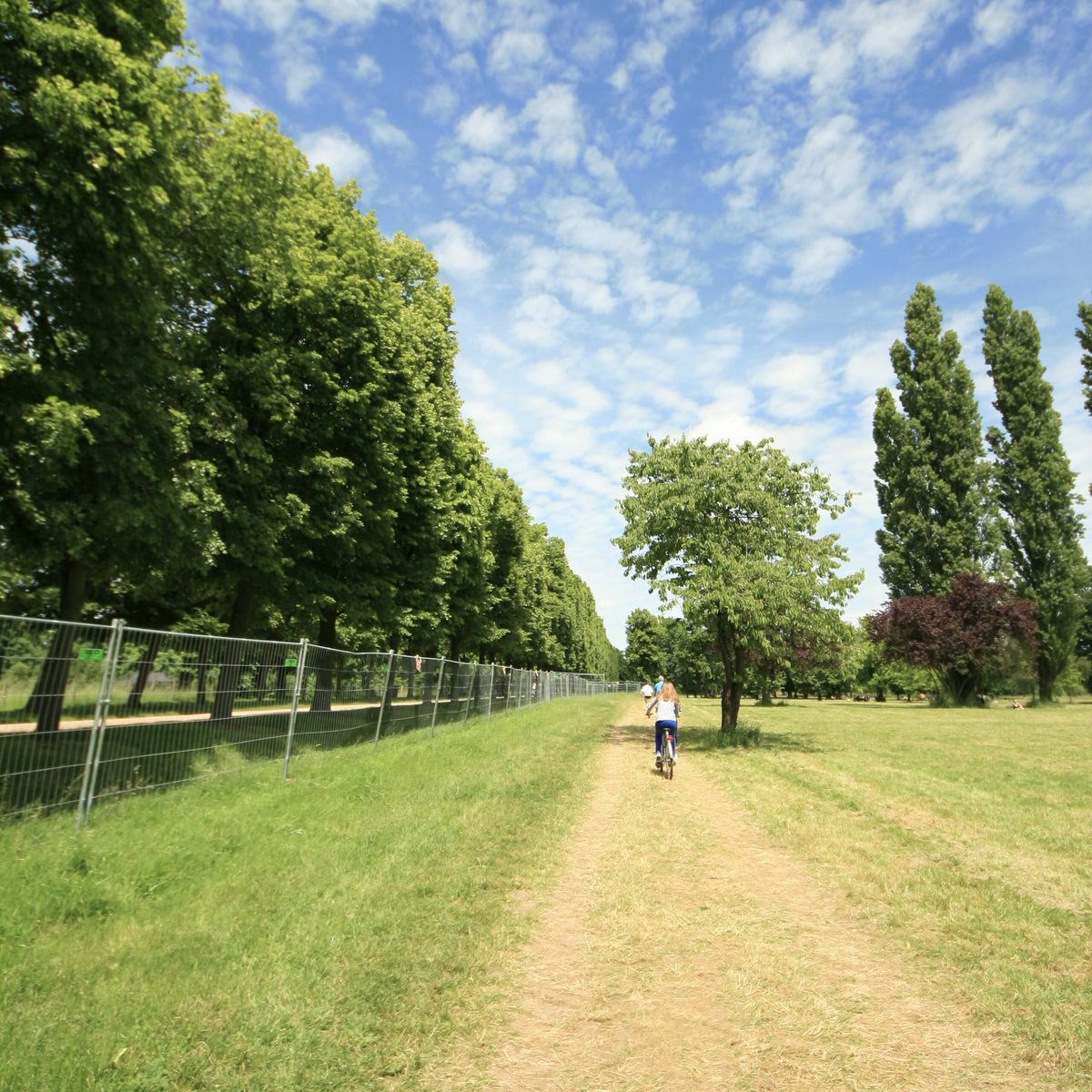 Radfahrer auf einem sonnigen Parkweg umgeben von grünen Bäumen