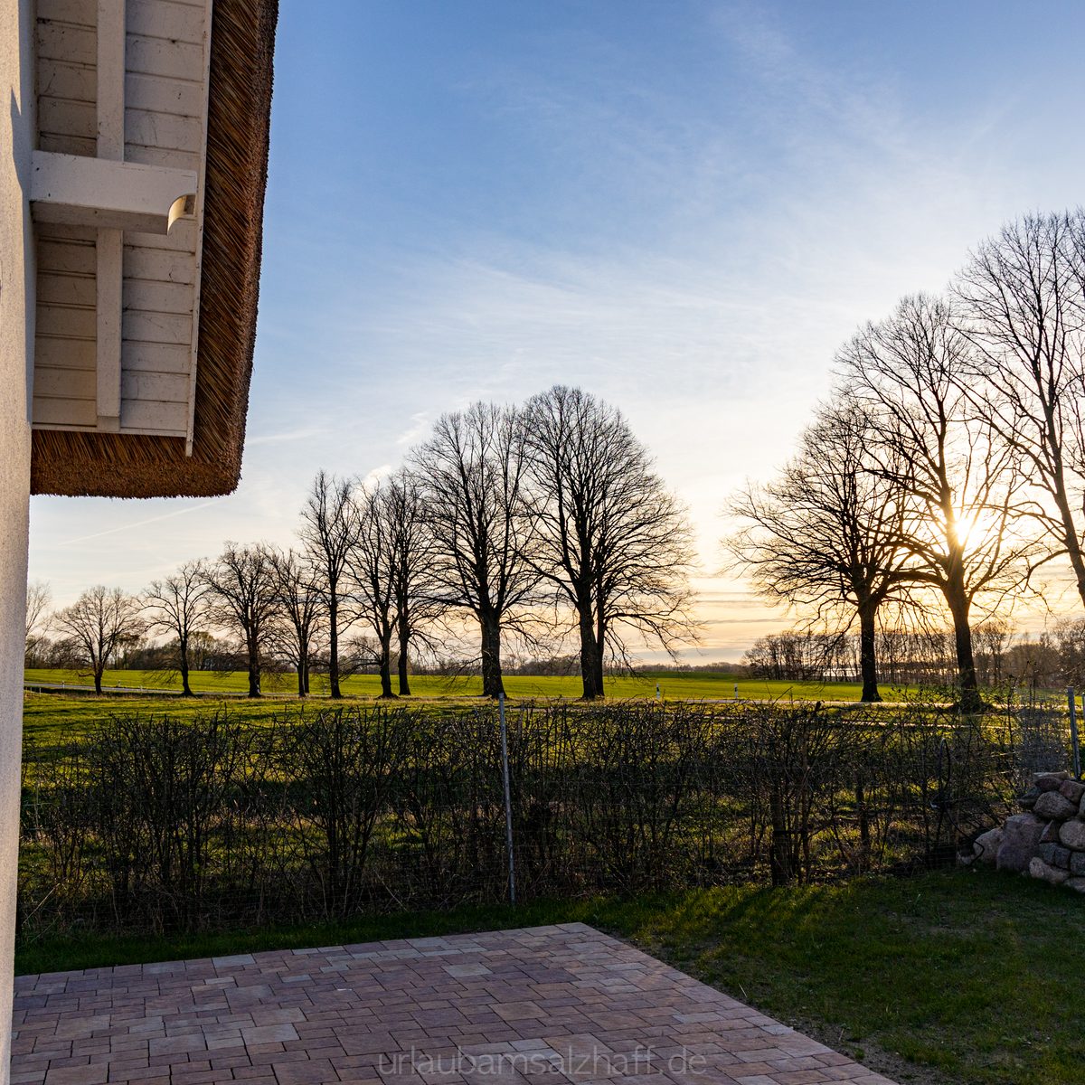 Sonnenuntergang, gesehen von der Terrasse, überblickt ein Feld mit kahlen Bäumen.